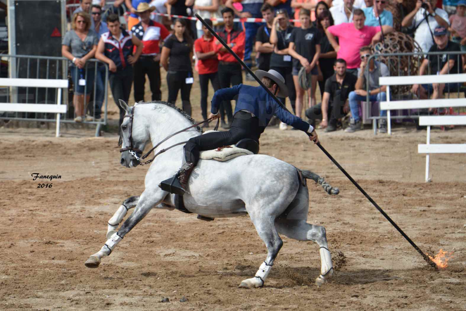 Spectacle équestre le 4 Septembre 2016 au Domaine de GAILLAC - Démonstration de Doma Vaquera - 10