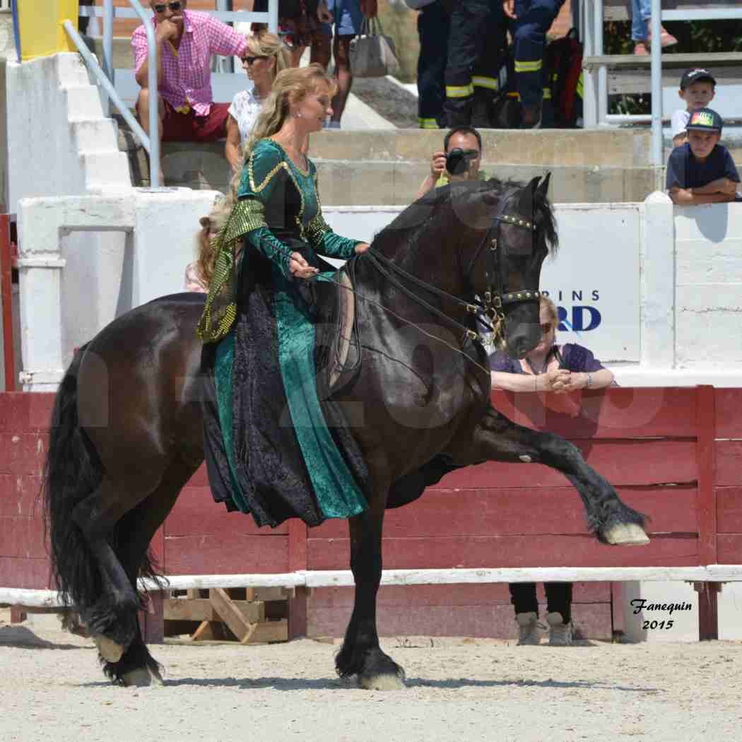 Féria du cheval à Méjanes en 2015 - Sylvie WILLMS - 01