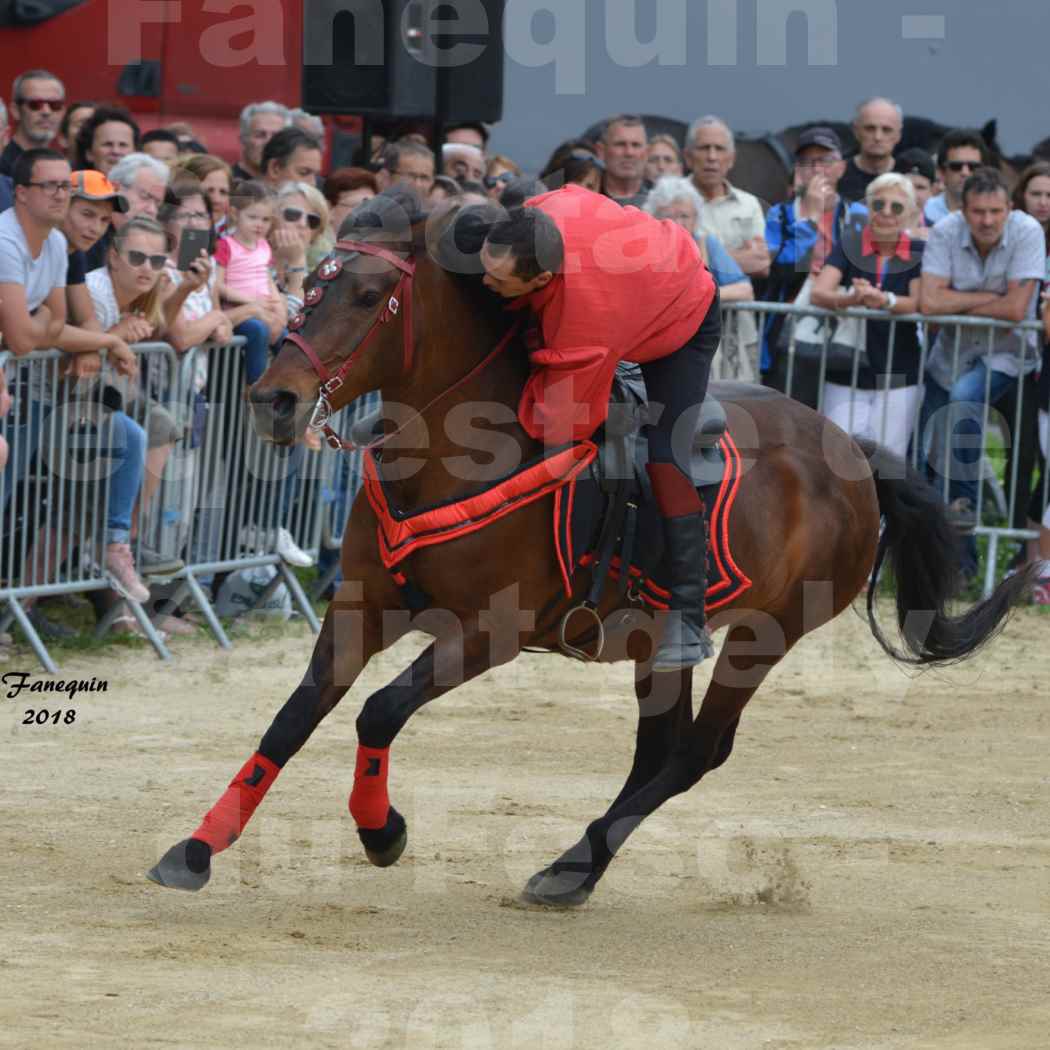 Spectacle Équestre le 3 juin 2018 à Saint Gély du Fesc - Voltige équestre - Troupe de Jean Antoine FIRMIN - 06