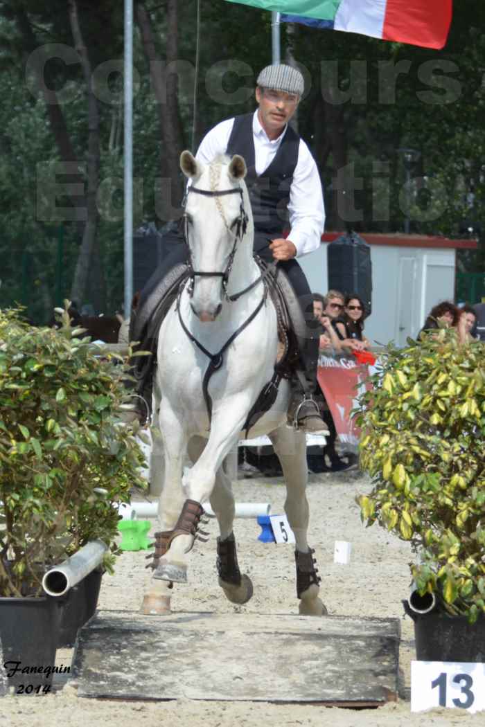 Salon Equitaine de Bordeaux en 2014 - concours Equitation de travail - Épreuve de Maniabilité chronométré - H - 11