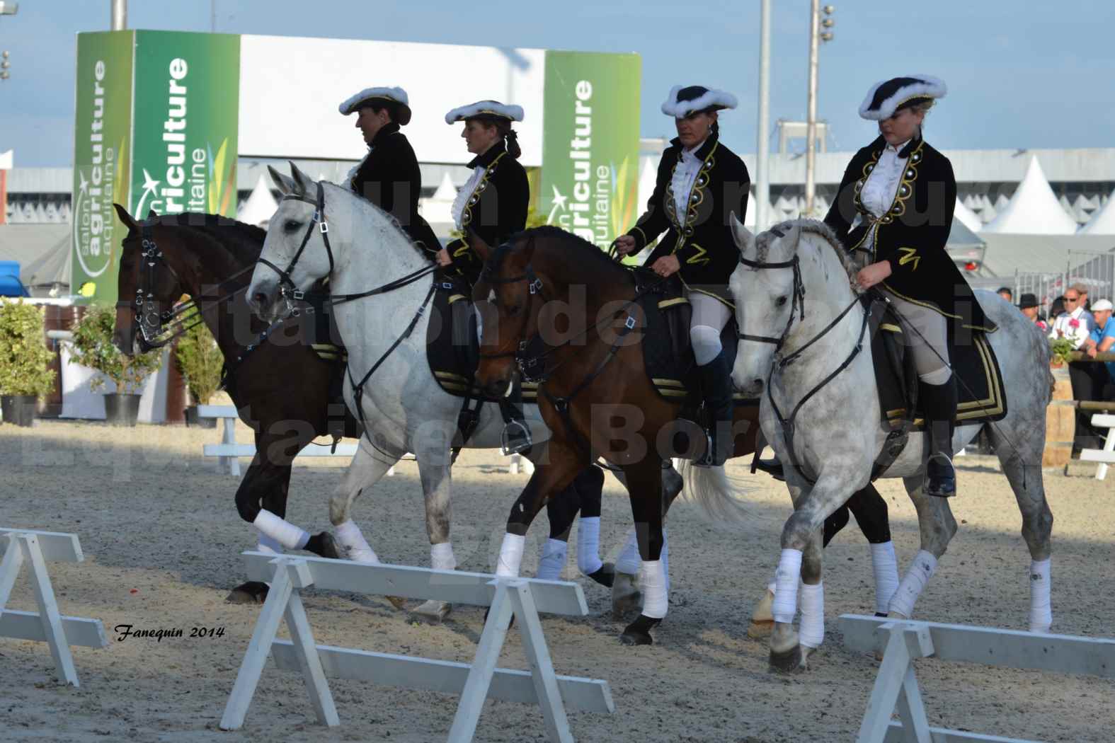 Carrousel de cavalières Equitation de travail lors du salon "Equitaine" à Bordeaux en 2014 - 35