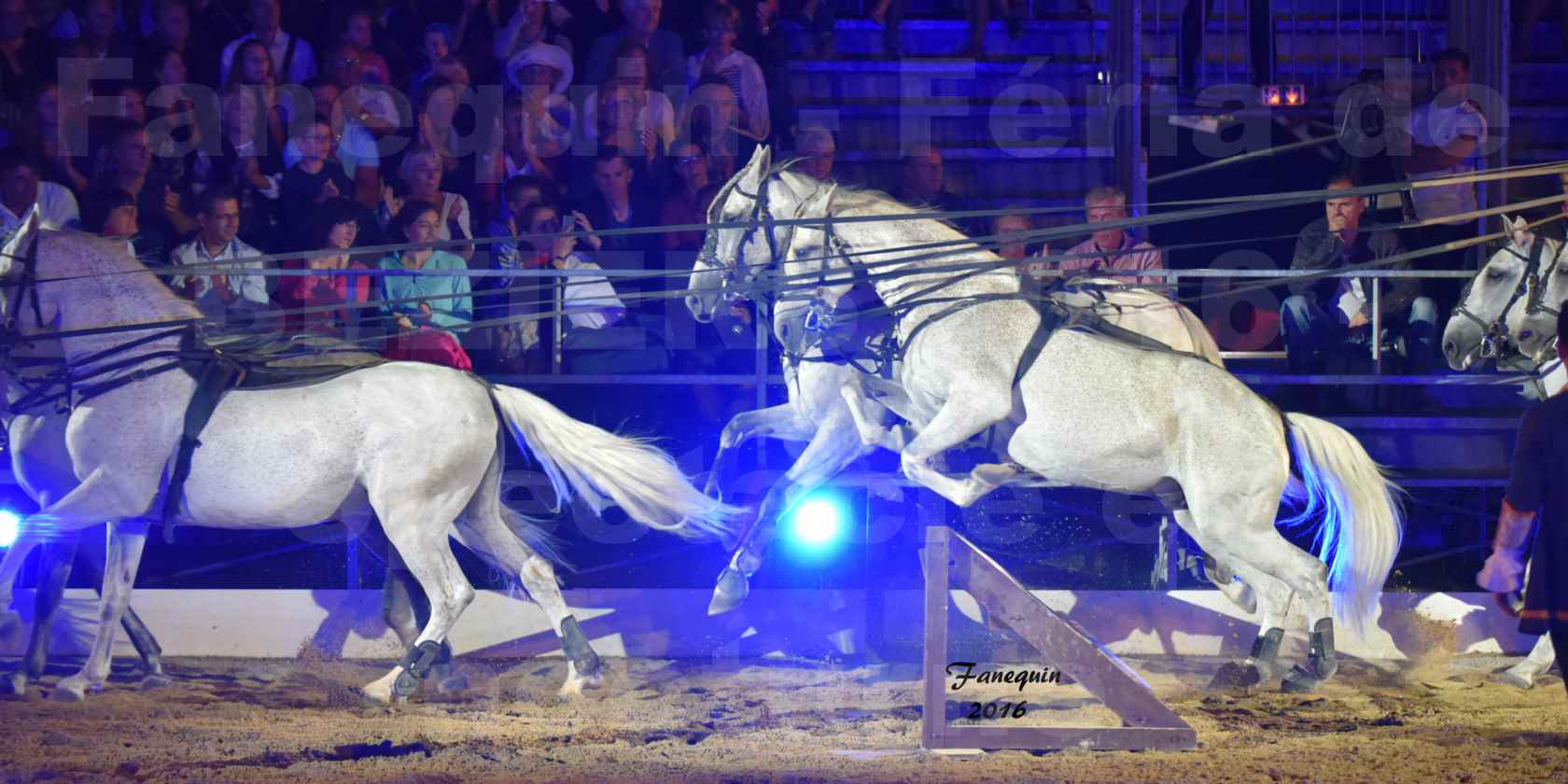 numéro de Poste HONGROISE avec 8 chevaux - Compagnie IMPULSION - Féria de BEZIERS 2016 - 4
