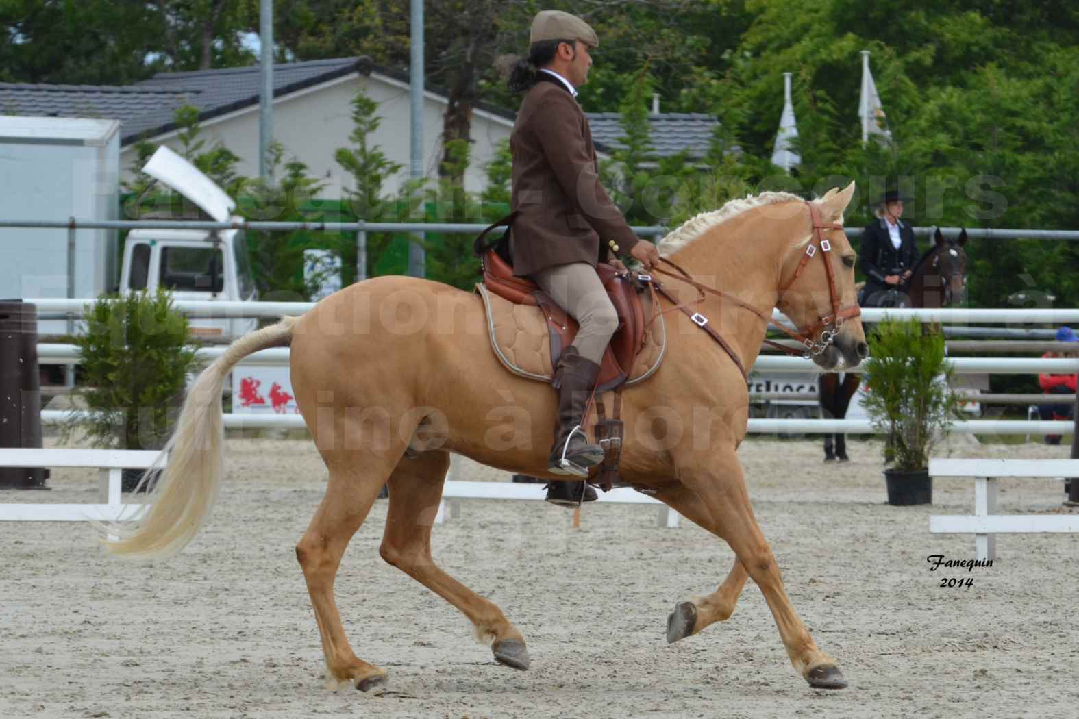Salon Equitaine de Bordeaux en 2014 - concours Equitation de travail - Épreuve de Dressage - 2
