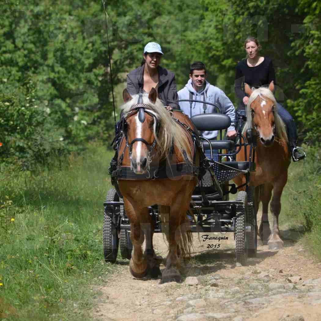 La Route Du Beaujolais 2015 - samedi 23 mai 2015 - parcours en matinée - 71