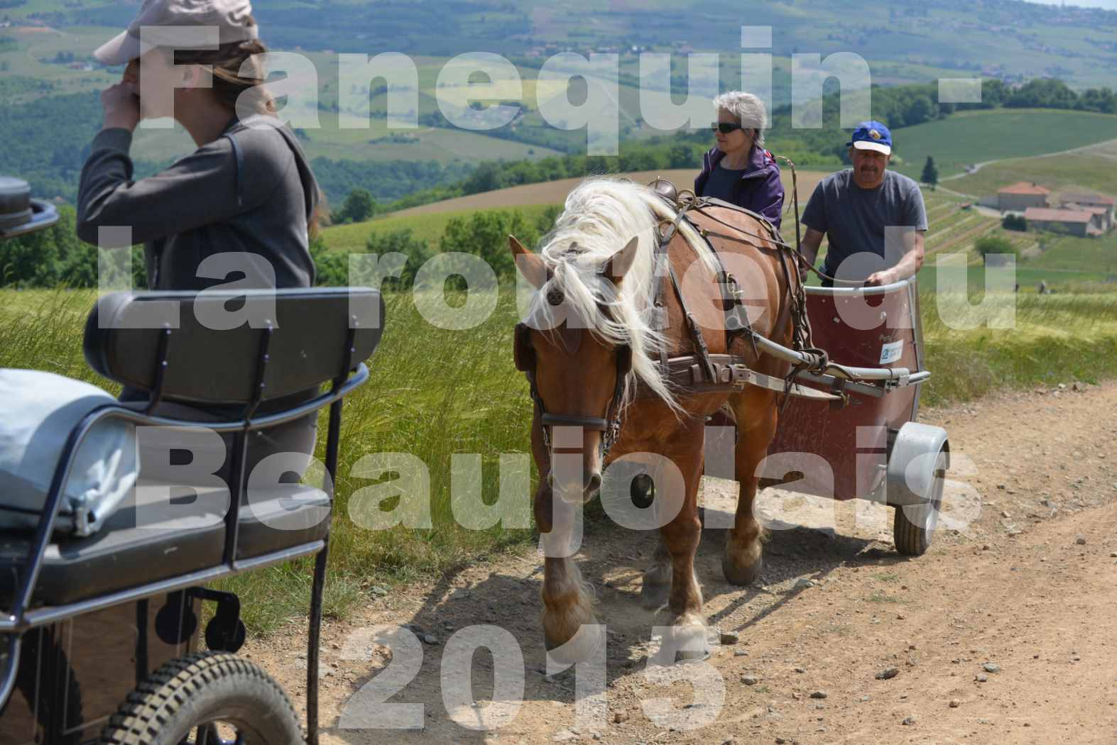 La Route Du Beaujolais 2015 - dimanche 24 mai 2015 - parcours en matinée - deuxième partie - 25