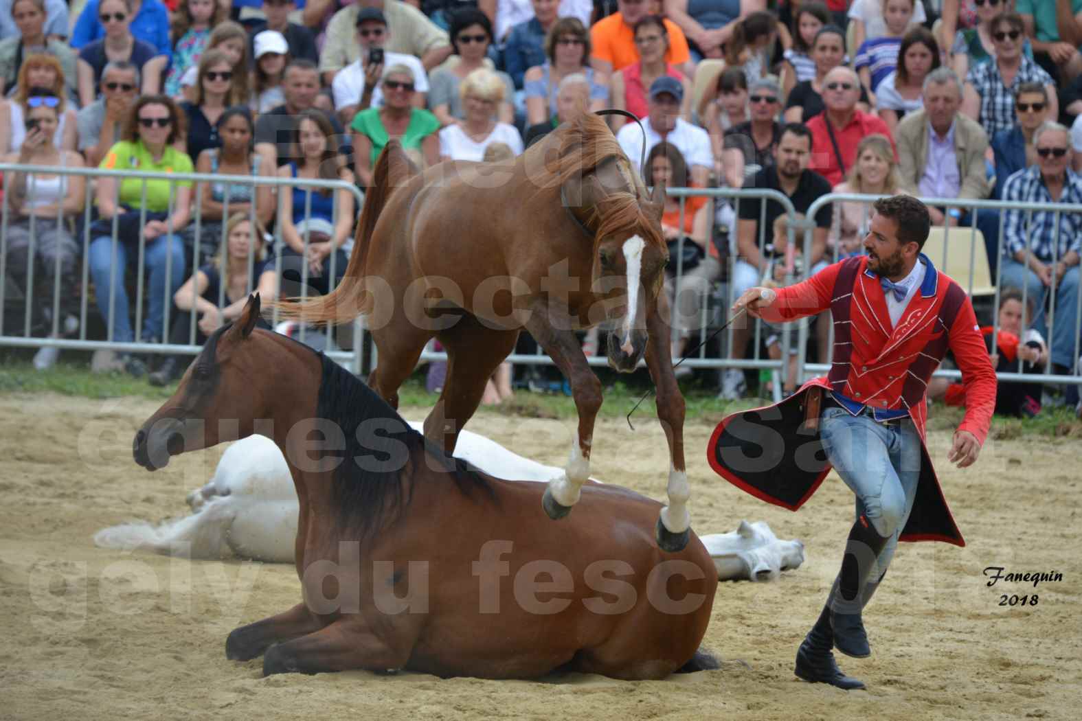 Spectacle Équestre le 3 juin 2018 à Saint Gély du Fesc - Chevaux en liberté - SANTI SERRA - 4