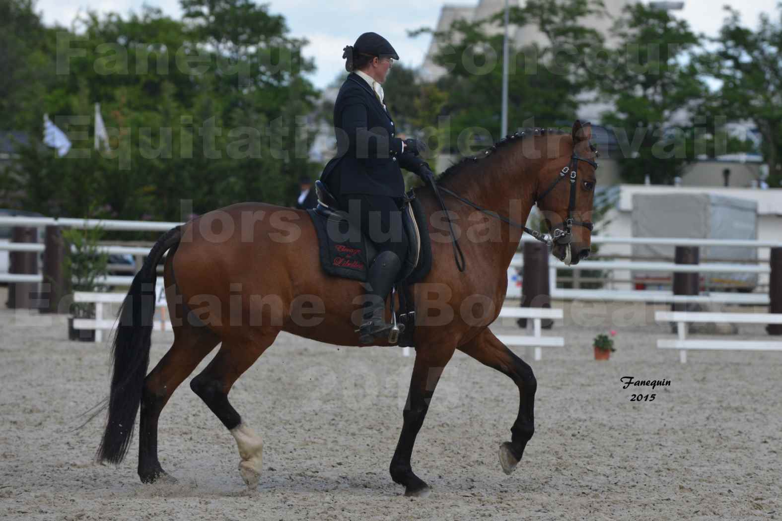 Salon Equitaine de Bordeaux 2015 - Concours d'Equitation de Travail avec chevaux Ibériques - E - 2