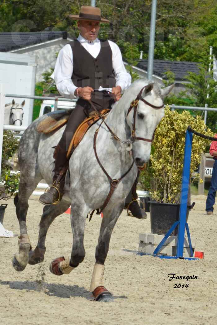 Salon Equitaine de Bordeaux en 2014 - concours Equitation de travail - Épreuve de Maniabilité chronométré - P - 25