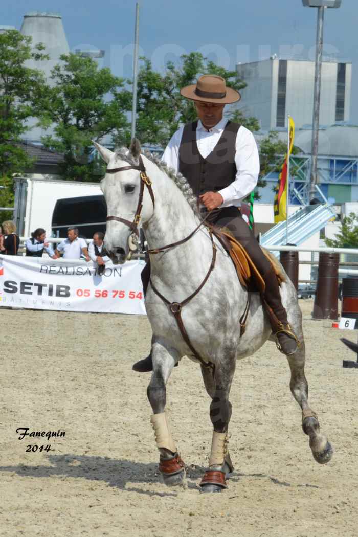 Salon Equitaine de Bordeaux en 2014 - concours Equitation de travail - Épreuve de Maniabilité chronométré - P - 05