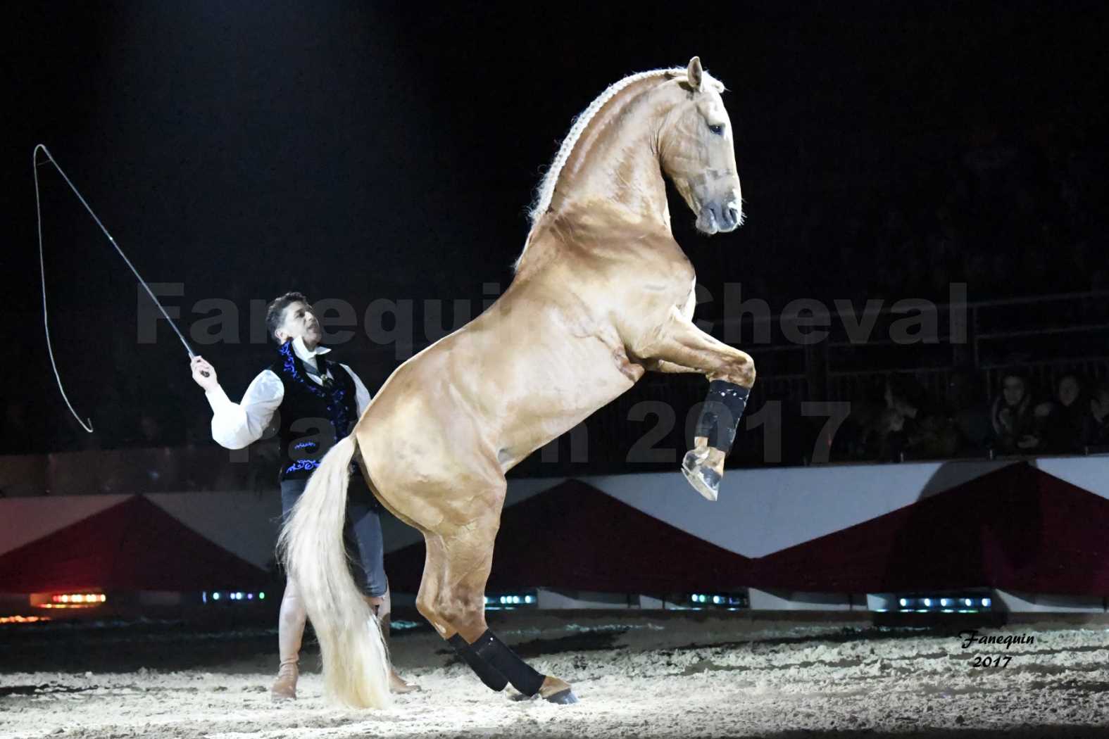 Cheval Passion 2017 - gala des Crinières d'OR - GARI ZOHER - 19