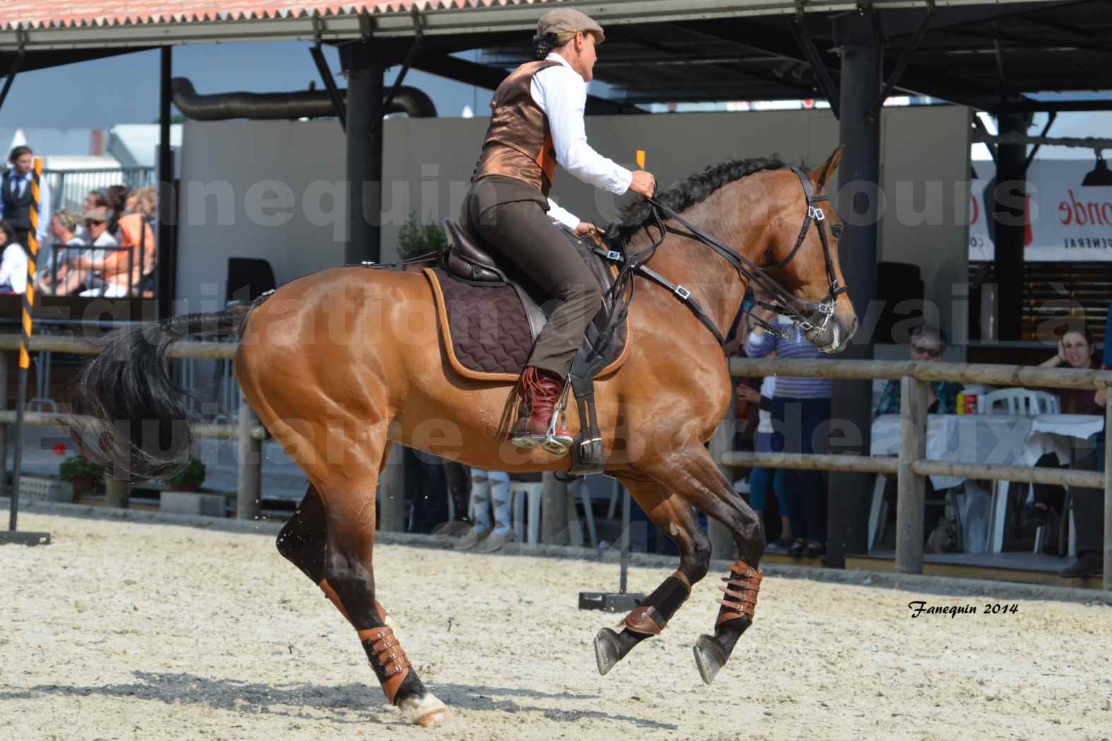 Salon Equitaine de Bordeaux en 2014 - concours Equitation de travail - Épreuve de Maniabilité chronométré - N - 02