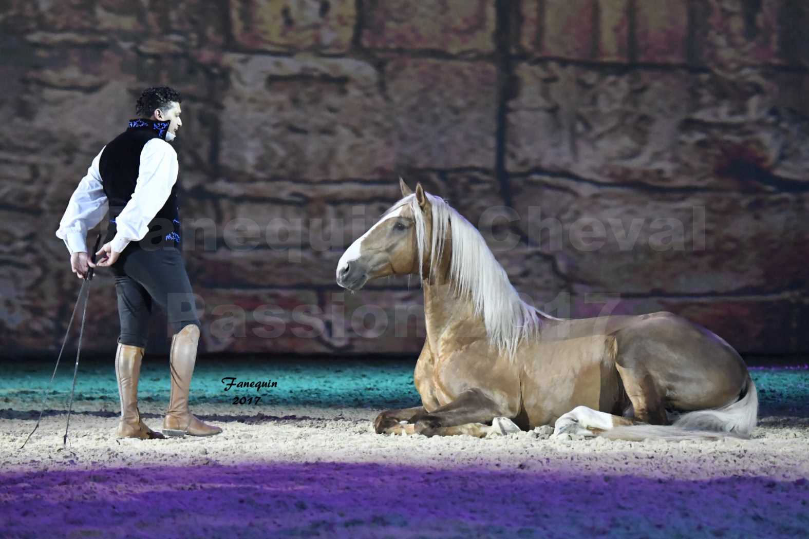 Cheval Passion 2017 - gala des Crinières d'OR - GARI ZOHER - 05