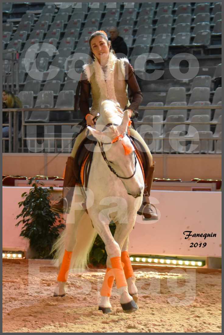 Cheval Passion 2019 - Concours de Pas Espagnol - Étalon "ZIDANE" - 09