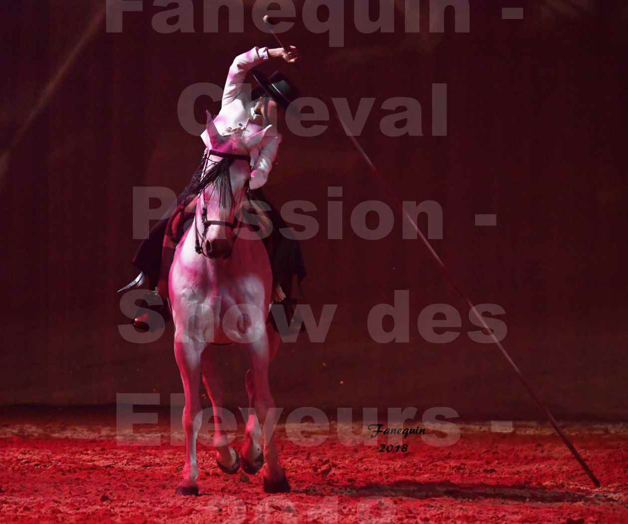 Cheval Passion 2018 - Spectacle Les Crinières d'OR 2018 - Doma Vaquera féminin - 01