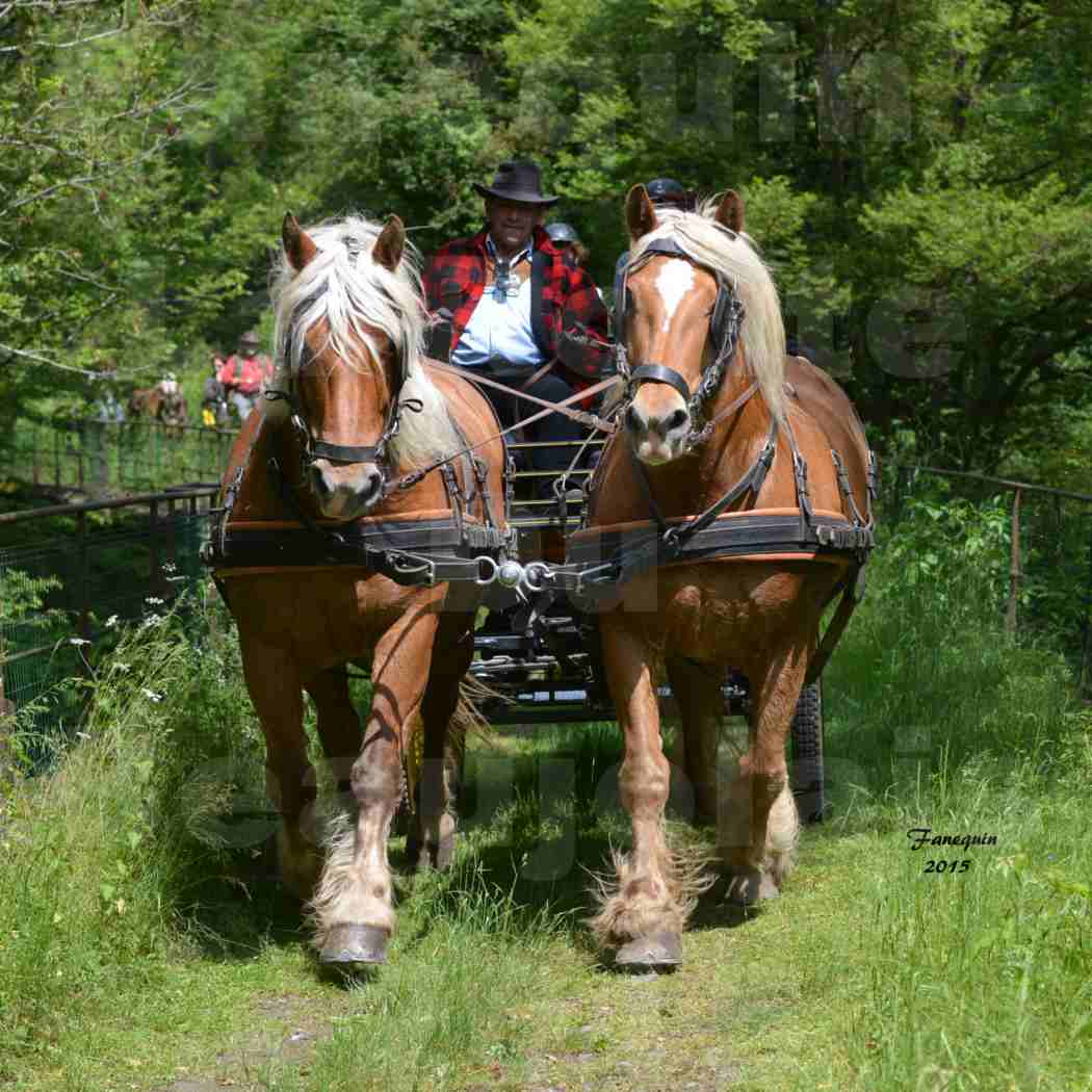 La Route Du Beaujolais 2015 - samedi 23 mai 2015 - parcours en après midi - 02