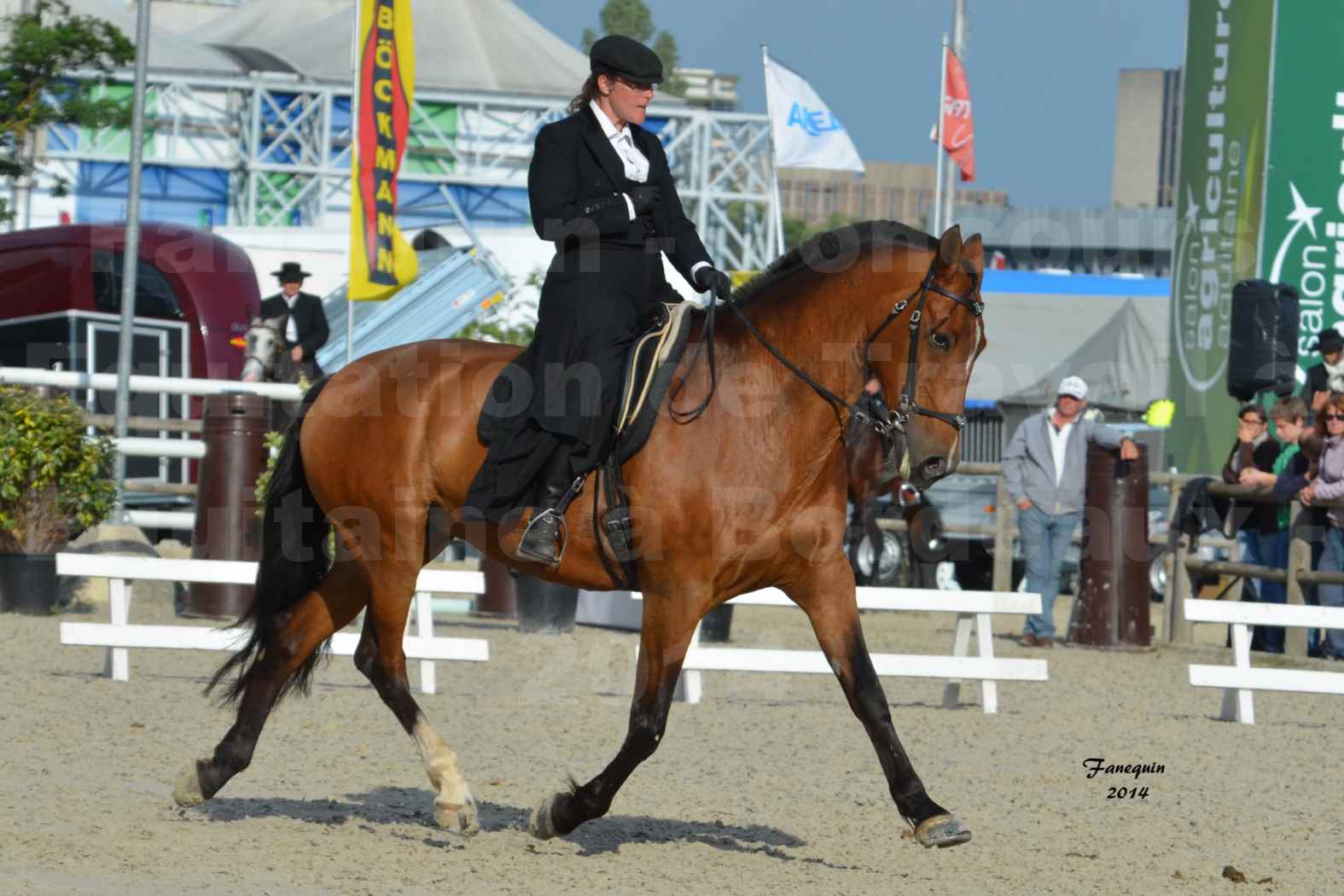 Salon Equitaine de Bordeaux en 2014 - concours Equitation de travail - Épreuve de Dressage - 11