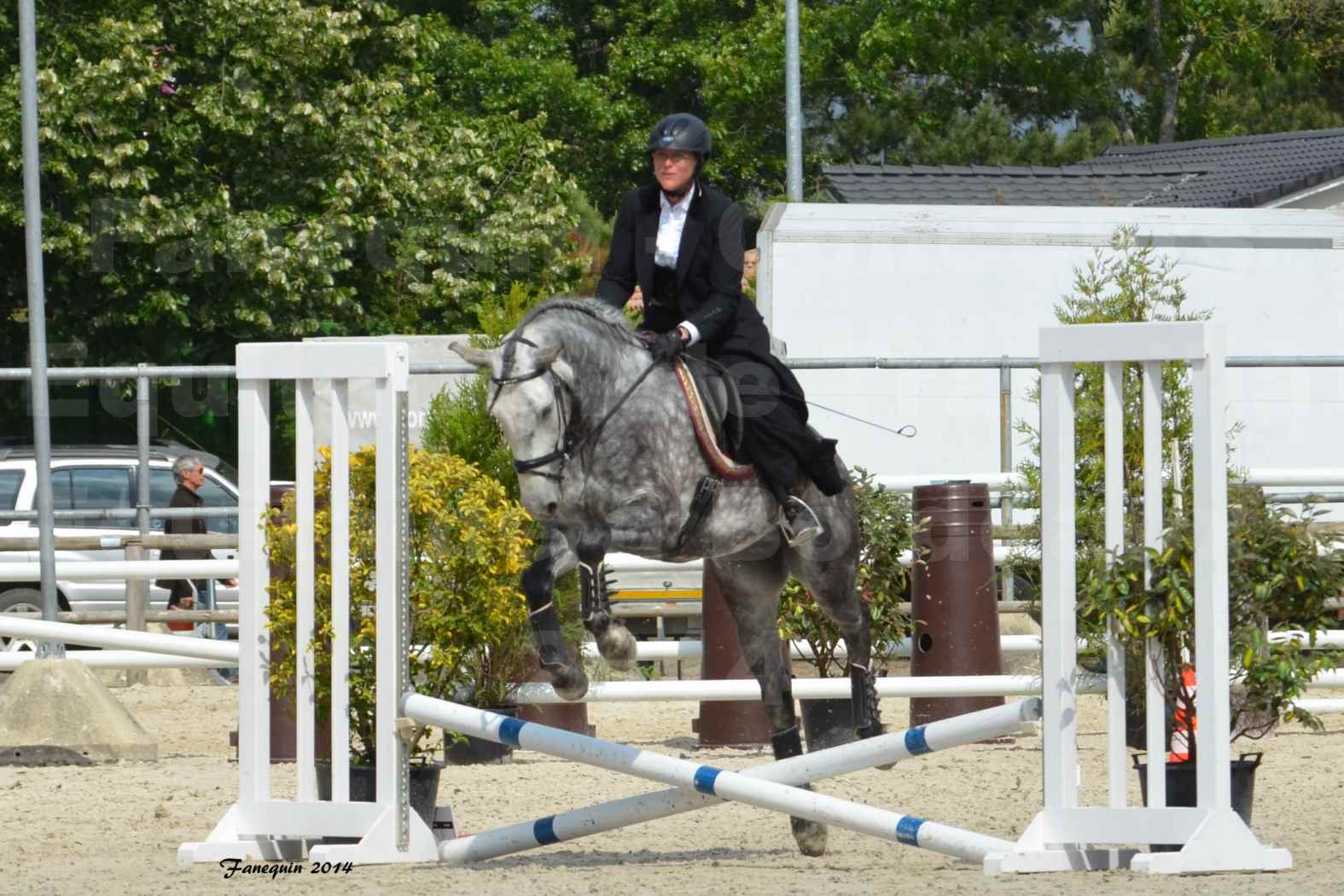 Salon Equitaine de Bordeaux en 2014 - concours Equitation de travail - Épreuve de Maniabilité chronométré - C - 6