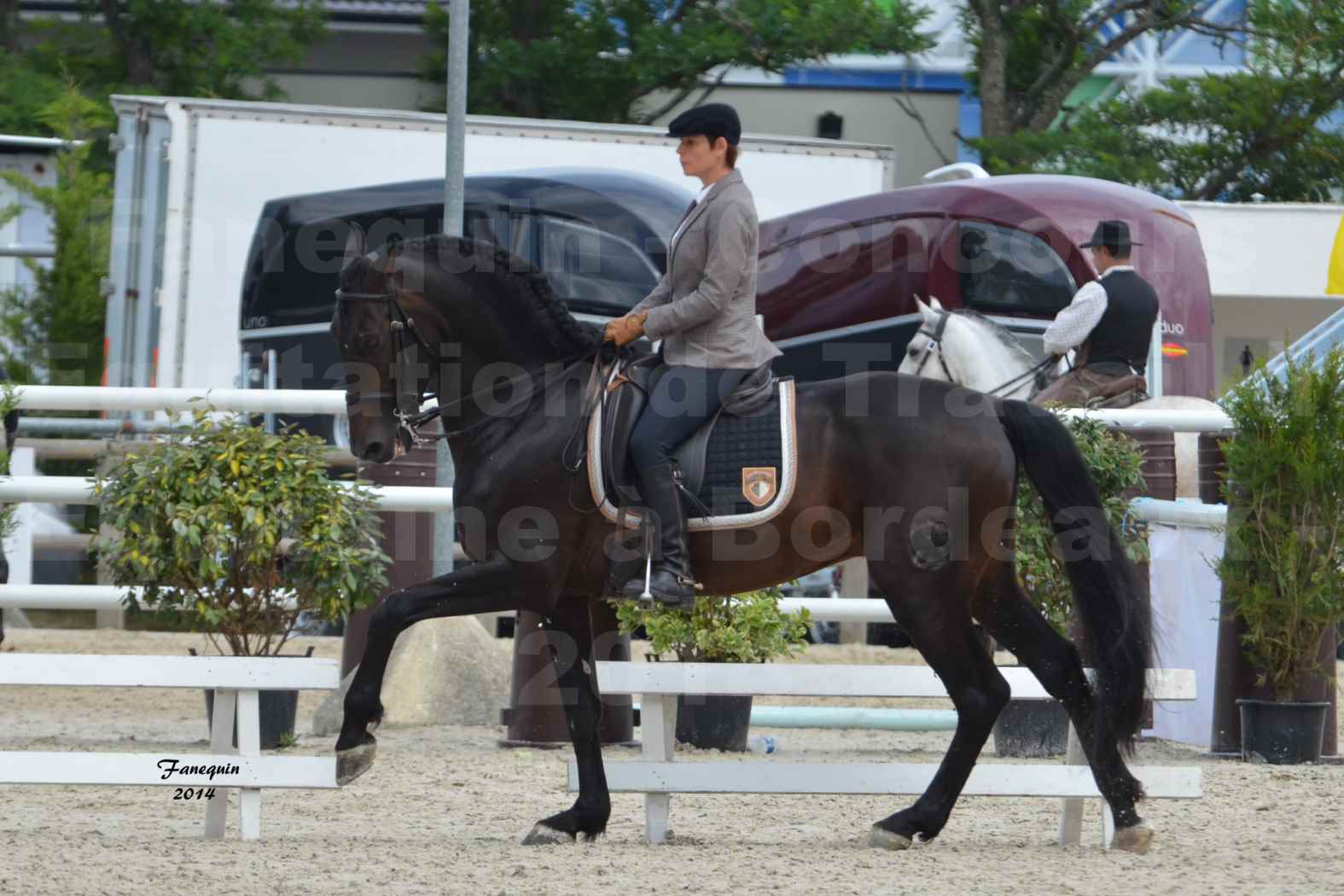 Salon Equitaine de Bordeaux en 2014 - concours Equitation de travail - Épreuve de Dressage - 08