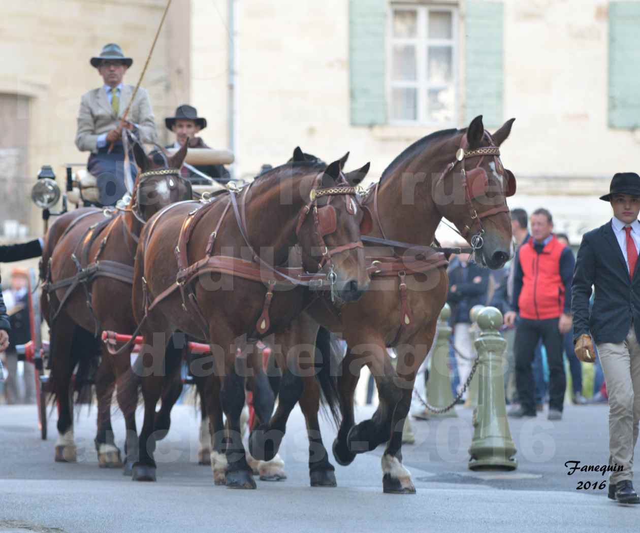 Défilé d'attelages anciens dans les rues d'UZES en octobre 2016 - Team COB NORMAND ( 4 chevaux) - 3
