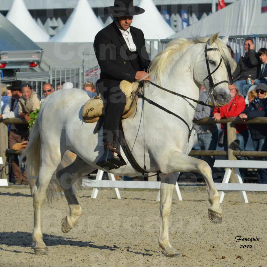 Salon Equitaine de Bordeaux en 2014 - concours Equitation de travail - Épreuve de Dressage - 04