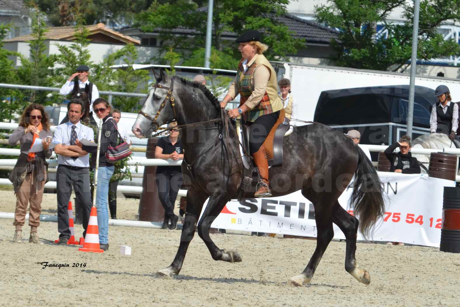 Salon Equitaine de Bordeaux en 2014 - concours Equitation de travail - Épreuve de Maniabilité chronométré - F - 04