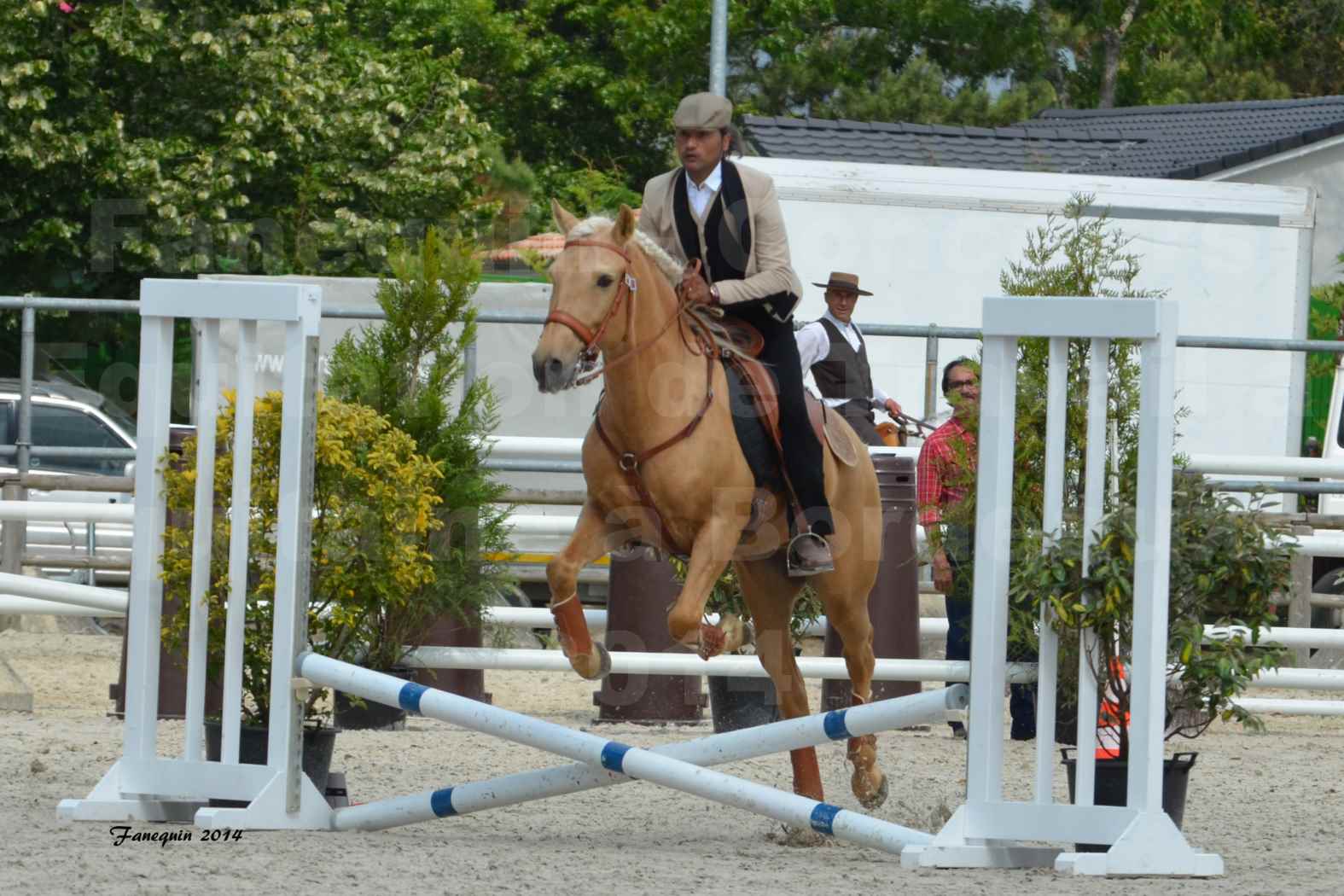 Salon Equitaine de Bordeaux en 2014 - concours Equitation de travail - Épreuve de Maniabilité chronométré - D - 12