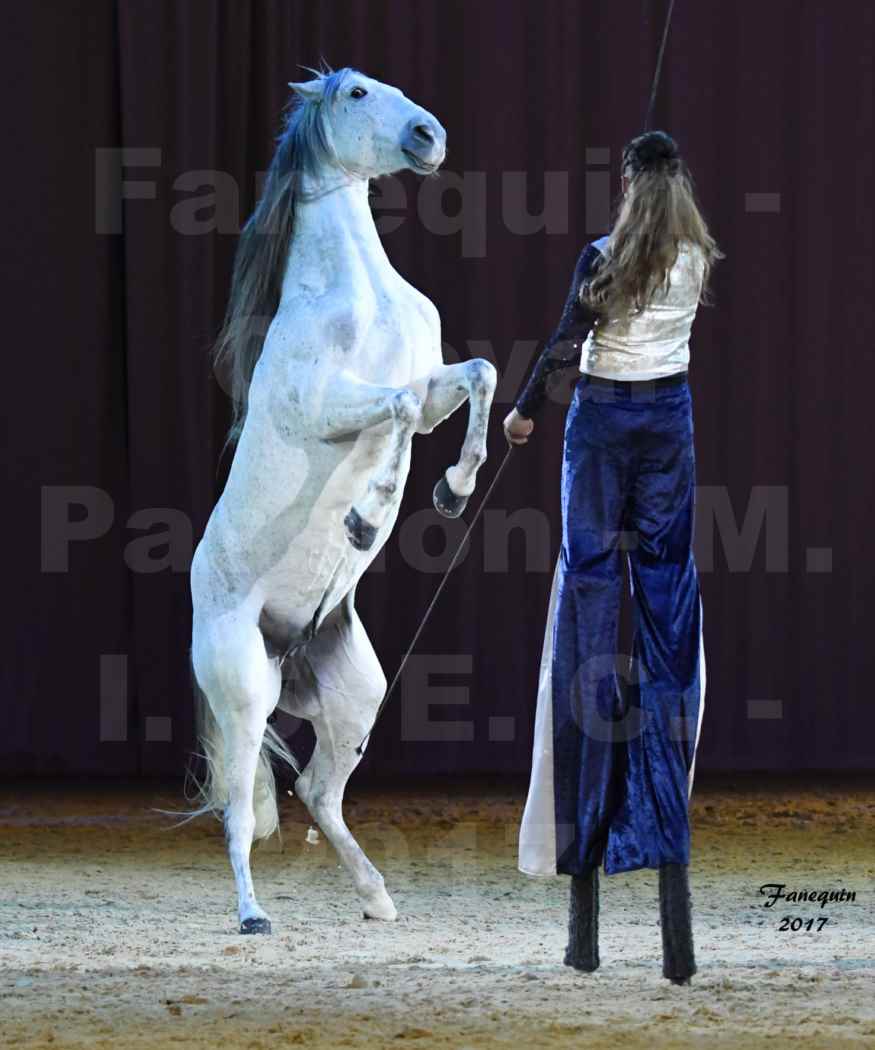 Cheval Passion 2017 - M. I. S. E. C. - Lucie VAUTHIER & 3 chevaux en liberté - 15