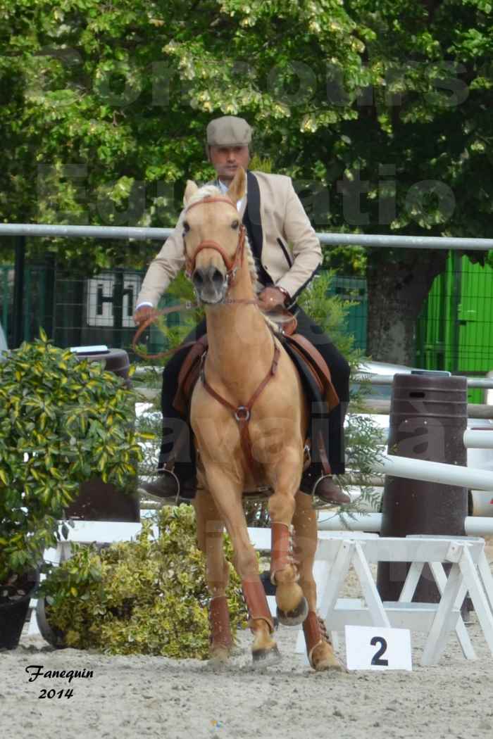 Salon Equitaine de Bordeaux en 2014 - concours Equitation de travail - Épreuve de Maniabilité chronométré - D - 07