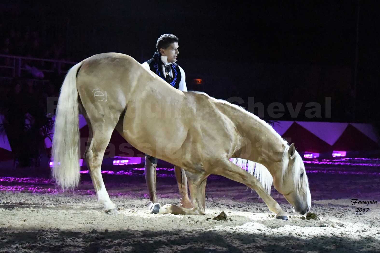 Cheval Passion 2017 - gala des Crinières d'OR - GARI ZOHER - 03