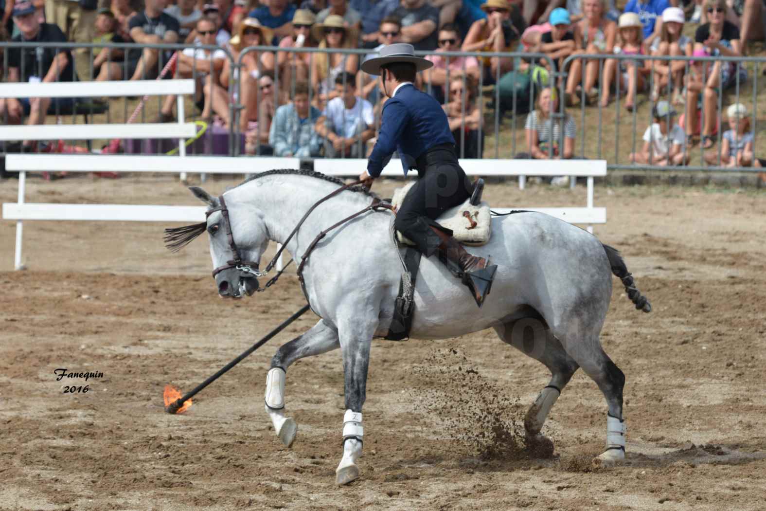 Spectacle équestre le 4 Septembre 2016 au Domaine de GAILLAC - Démonstration de Doma Vaquera - 19