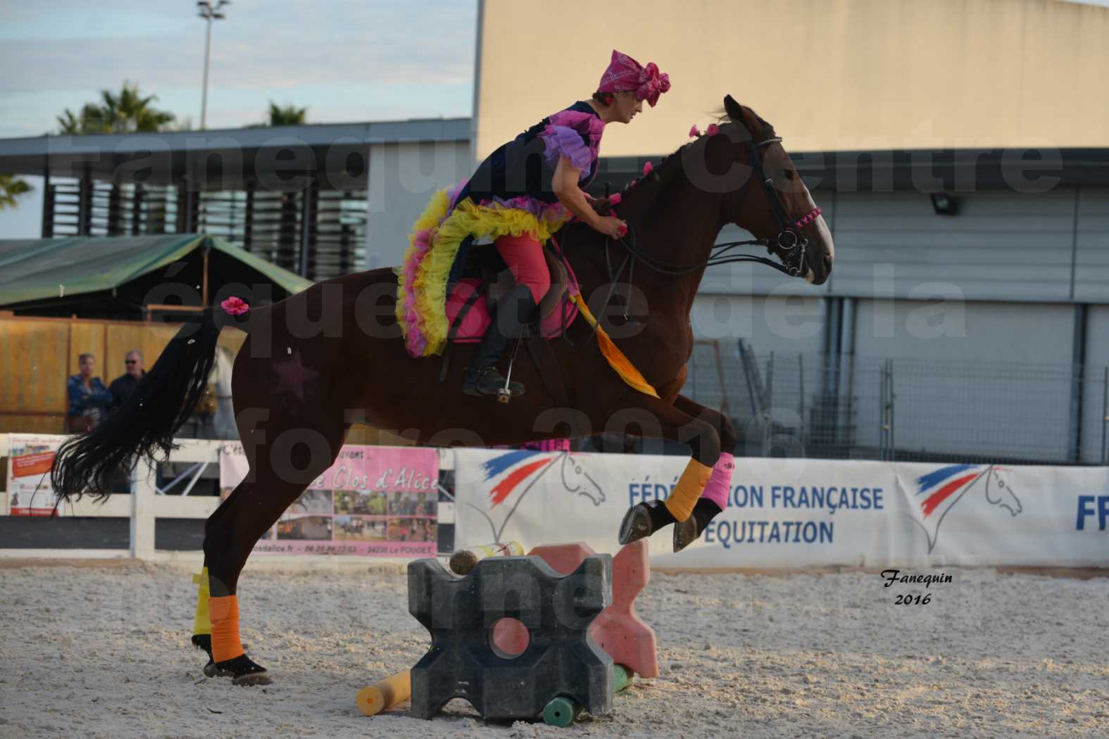 Centre équestre éphémère de la Foire de Montpellier 2016 - Mardi 11 Octobre 2016 - Spectacle Nocturne - 18