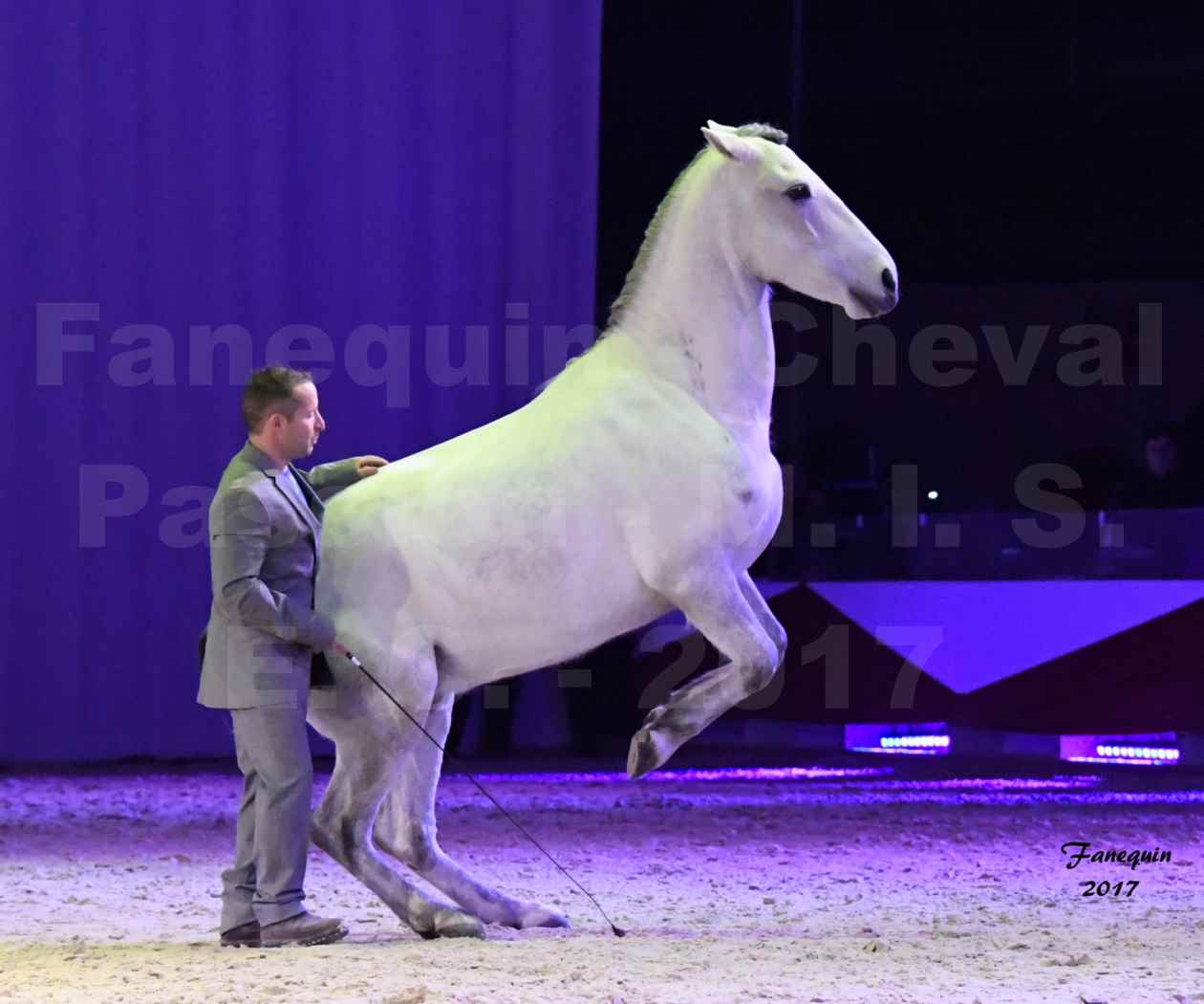 Cheval Passion 2017 - M. I. S. E. C. - Ludovic LONGO & 1 cheval en liberté - 14