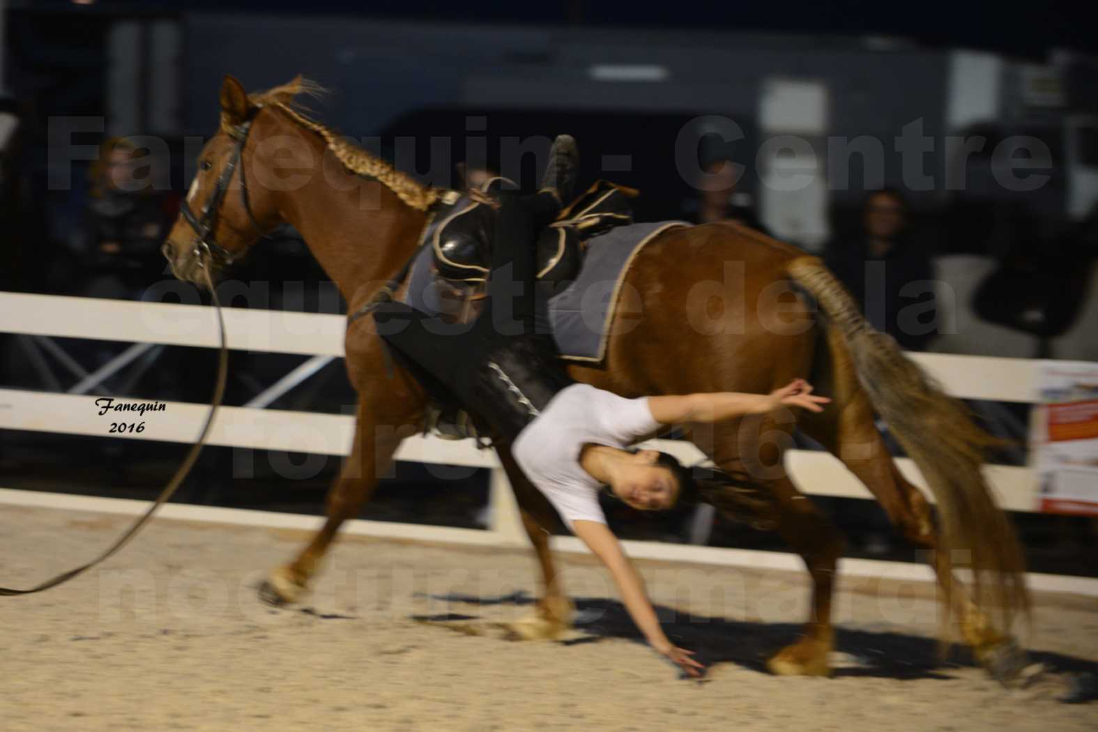 Centre équestre éphémère de la Foire de Montpellier 2016 - Mardi 11 Octobre 2016 - Spectacle Nocturne - 36