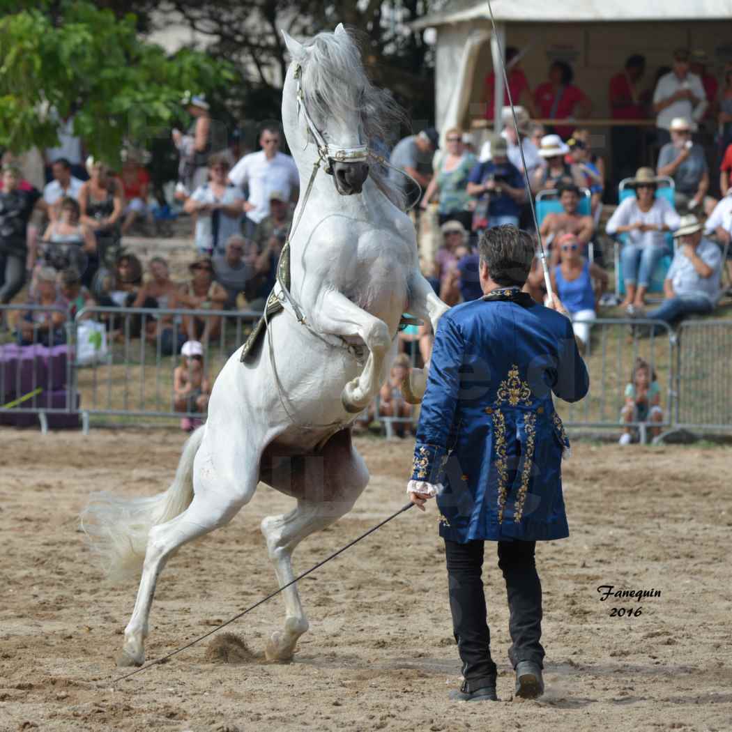 Spectacle équestre le 3 Septembre 2016 au Domaine de GAILLAC - Haute école avec la famille HASTALUEGO - 02