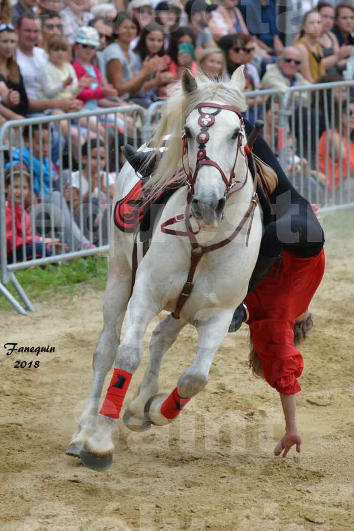 Spectacle Équestre le 3 juin 2018 à Saint Gély du Fesc - Voltige équestre - Troupe de Jean Antoine FIRMIN - 61