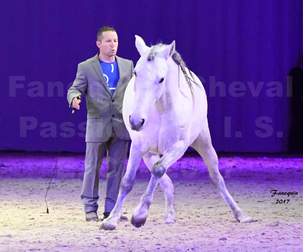 Cheval Passion 2017 - M. I. S. E. C. - Ludovic LONGO & 1 cheval en liberté - 09