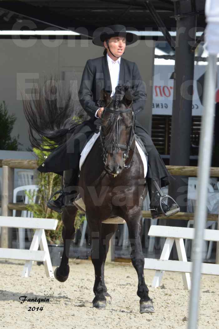 Salon Equitaine de Bordeaux en 2014 - concours Equitation de travail - Épreuve de Dressage - 12