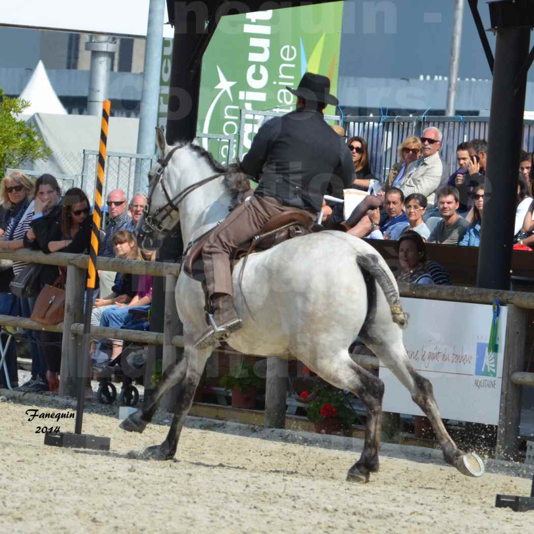 Salon Equitaine de Bordeaux en 2014 - concours Equitation de travail - Épreuve de Maniabilité chronométré - L - 3