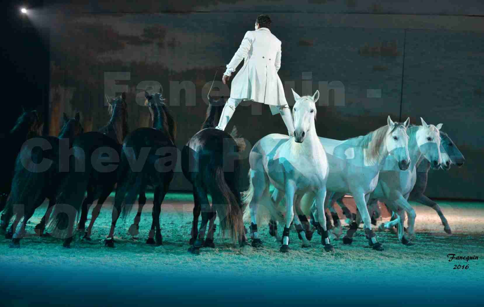 Cheval Passion 2016 - Spectacle les Crinières d'OR - LORENZO "Blanc" - représentation du 20 janvier 2016 - 28