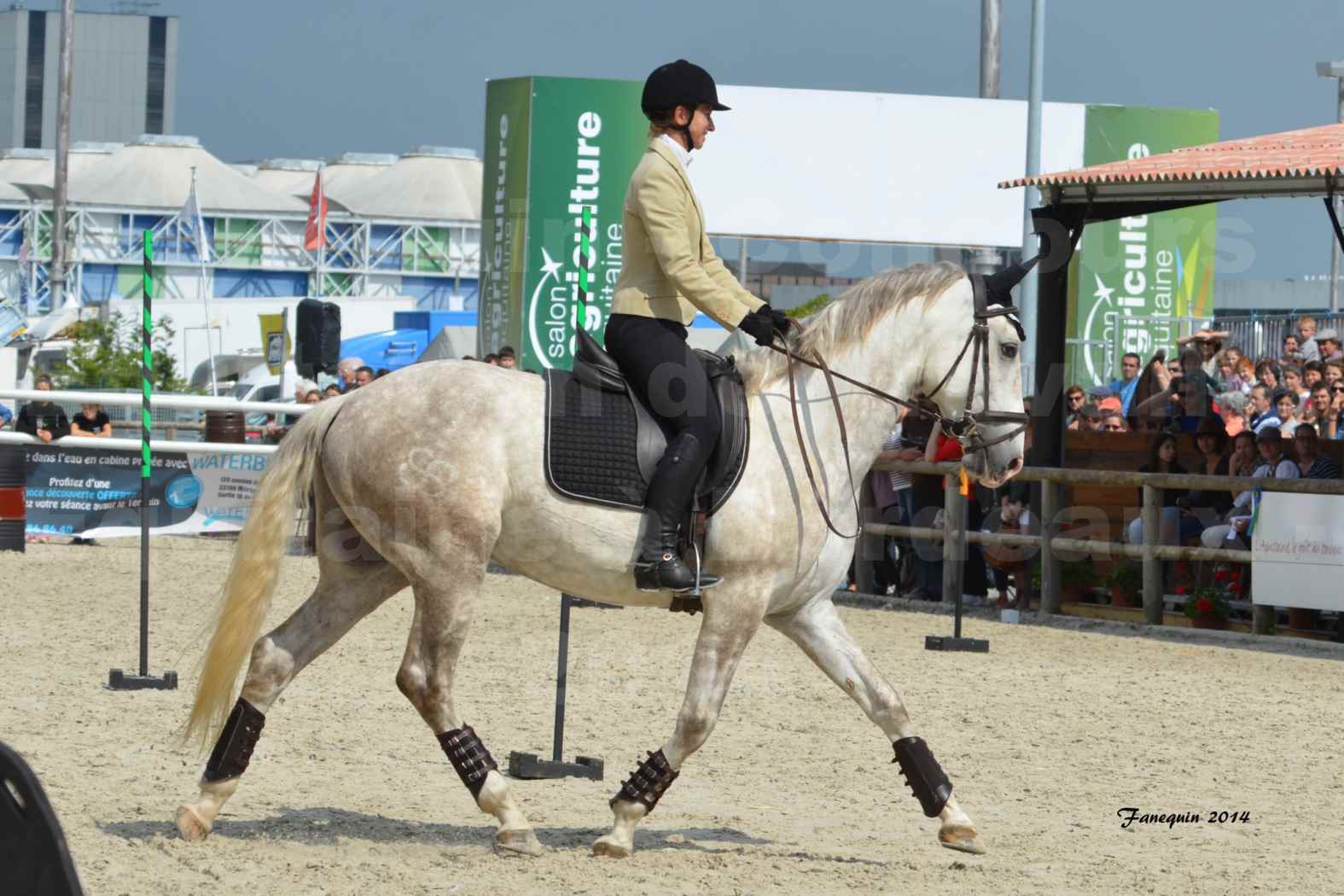 Salon Equitaine de Bordeaux en 2014 - concours Equitation de travail - Épreuve de Maniabilité chronométré - B - 04