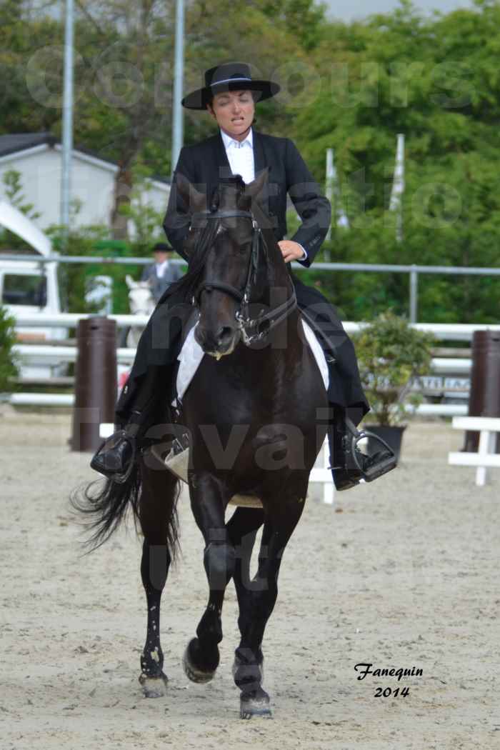 Salon Equitaine de Bordeaux en 2014 - concours Equitation de travail - Épreuve de Dressage - 09