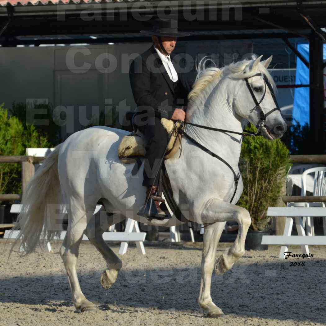 Salon Equitaine de Bordeaux en 2014 - concours Equitation de travail - Épreuve de Dressage - 06