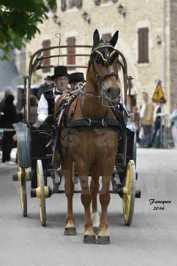 Défilé de calèches de 1900 dans les rues de Villeneuve d'Aveyron le 15 mai 2016 - Attelage simple de Trotteur - calèche 4 roues - 1