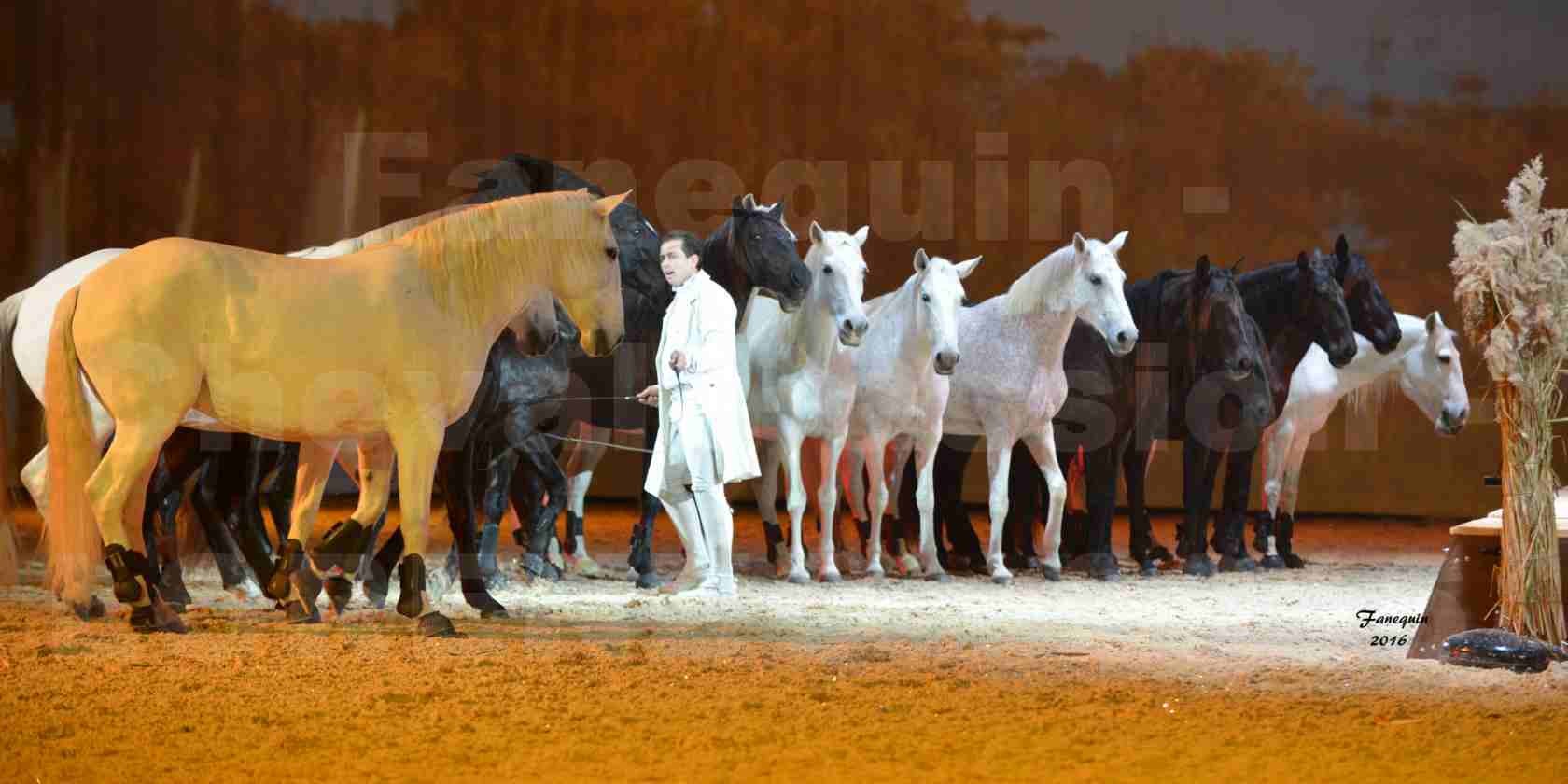 Cheval Passion 2016 - Spectacle les Crinières d'OR - LORENZO "Blanc" - représentation du 20 janvier 2016 - 46