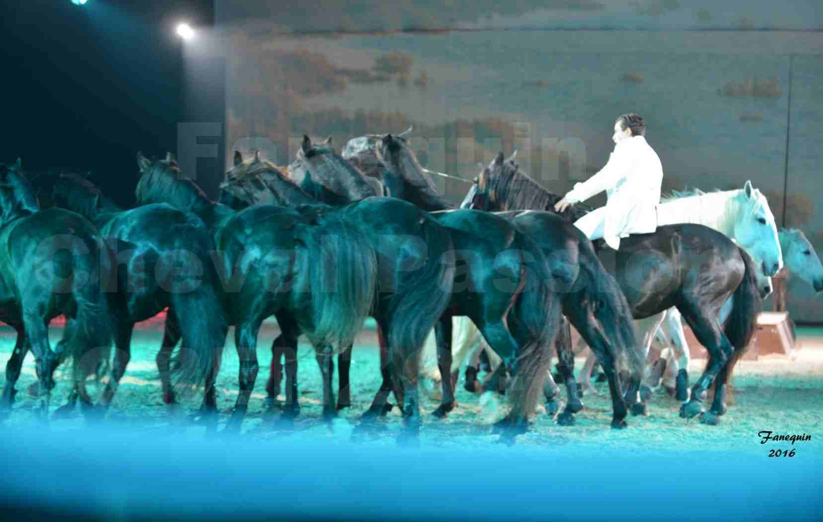 Cheval Passion 2016 - Spectacle les Crinières d'OR - LORENZO "Blanc" - représentation du 20 janvier 2016 - 27