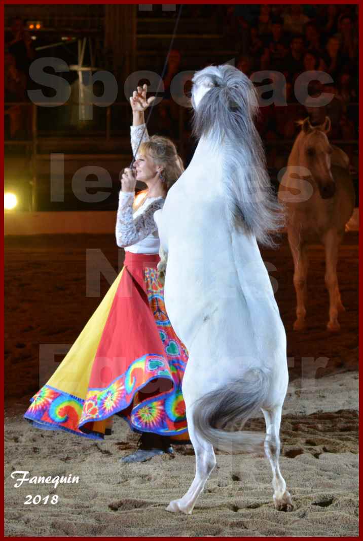 Spectacles Équestres des "Nuits Équestres"  de la Féria de BÉZIERS 2018 - Sylvie WILLMS & ses chevaux en liberté - 05