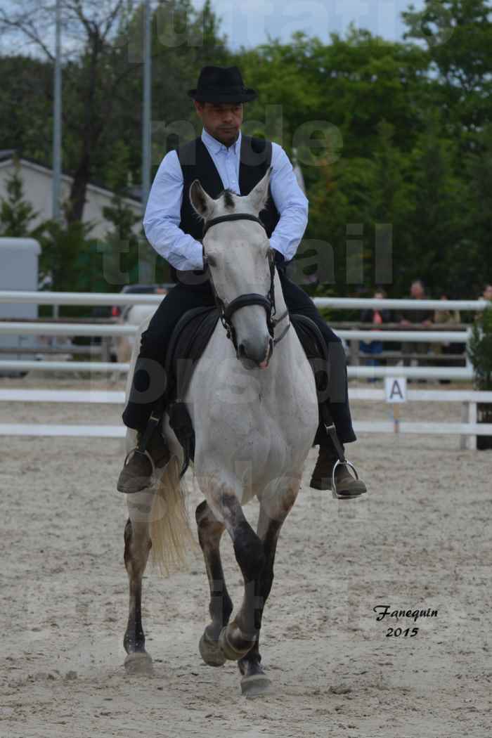 Salon Equitaine de Bordeaux 2015 - Concours d'Equitation de Travail avec chevaux Ibériques - M - 2