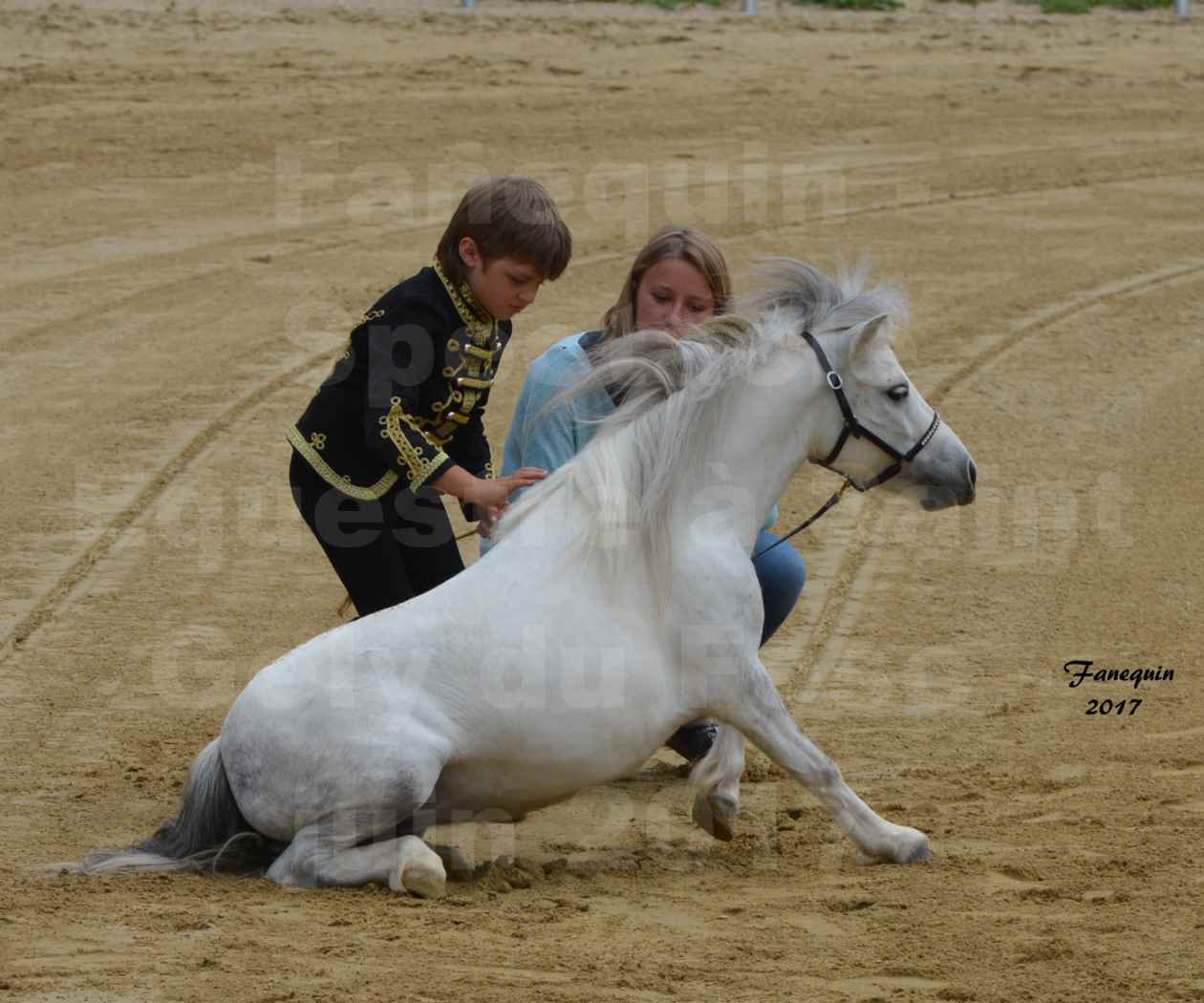 Spectacle Équestre - Salon Pêche Chasse Nature à Saint Gely du Fesc - Jeune garçon et poney - 2