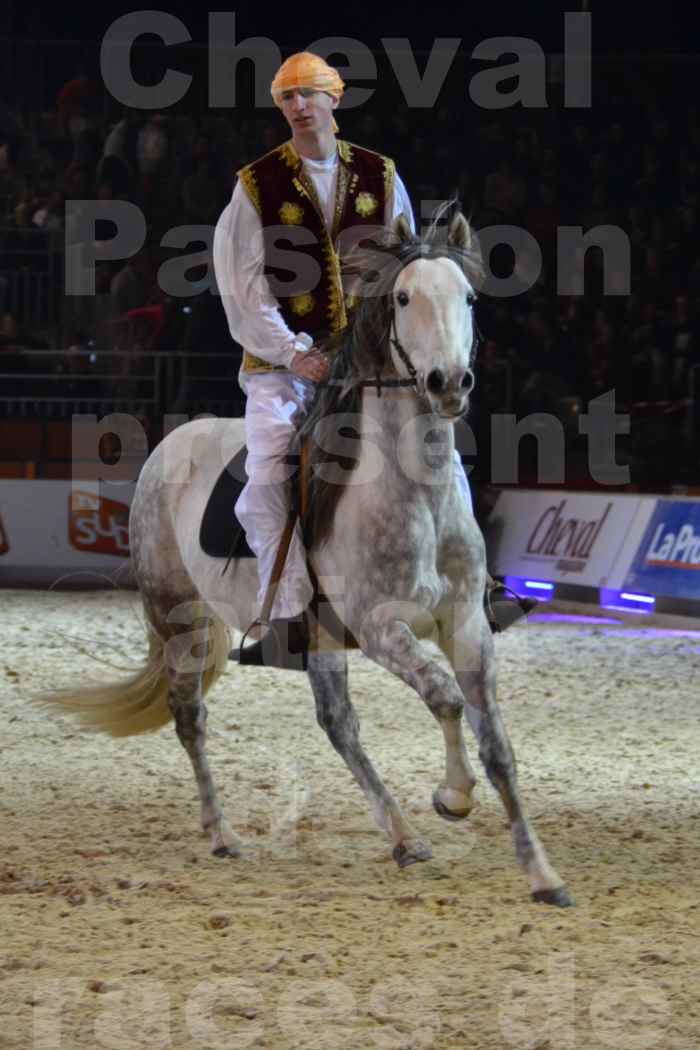 Cheval Passion 2014 - Chevaux BARBES - Notre Sélection - 23