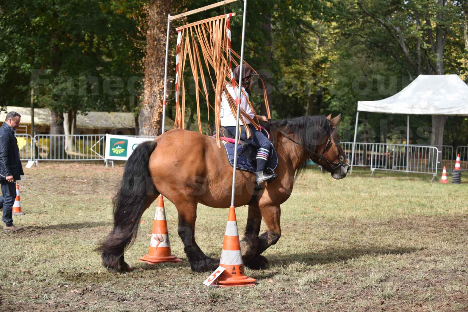 Concours Label Cheval Loisir 2017 - Cheval monté - QUIQUINOU - 03